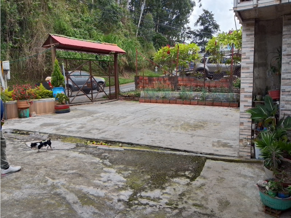 Finca en Venta Vereda La Violeta