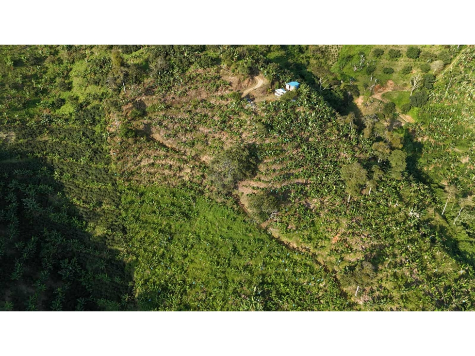 LOTE EN VENTA MUNICIPIO DE BELALCAZAR - 3