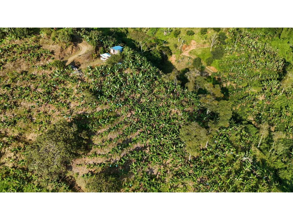 LOTE EN VENTA MUNICIPIO DE BELALCAZAR - 4