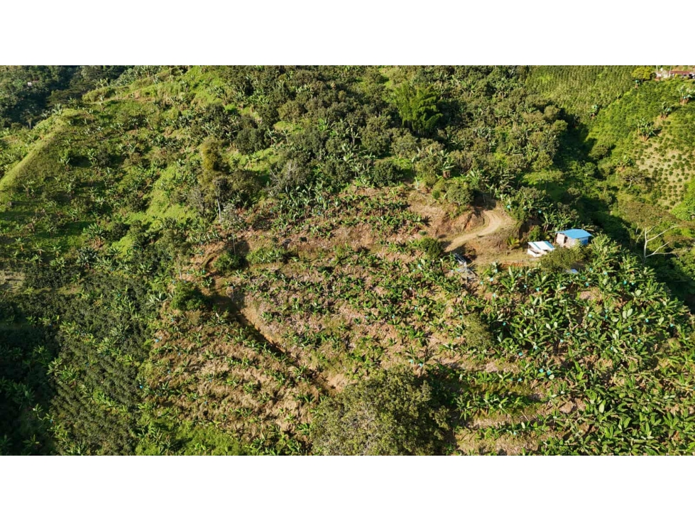 LOTE EN VENTA MUNICIPIO DE BELALCAZAR - 5