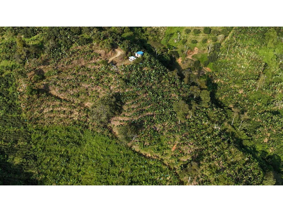 LOTE EN VENTA MUNICIPIO DE BELALCAZAR - 6