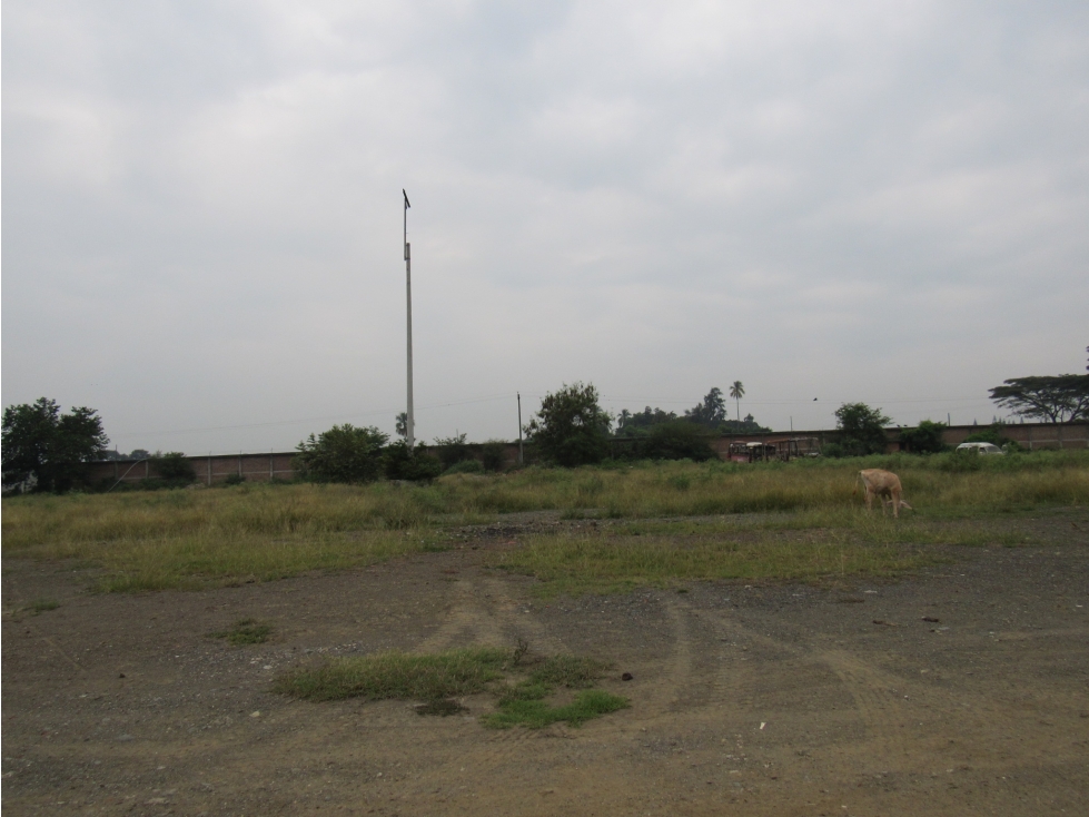 VENTA LOTE 30,000 MT2 LA NUBIA CANDELARIA VALLE - 1