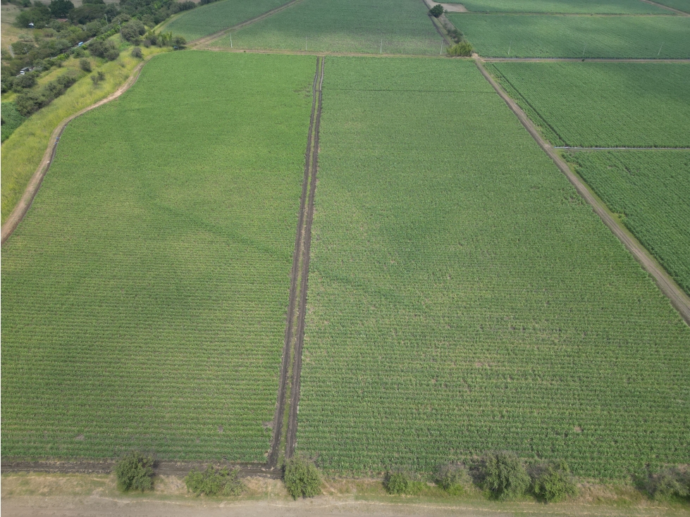 VENTA LOTE 119,037 MT2 EN ARROYOHONDO YUMBO VALLE - 2