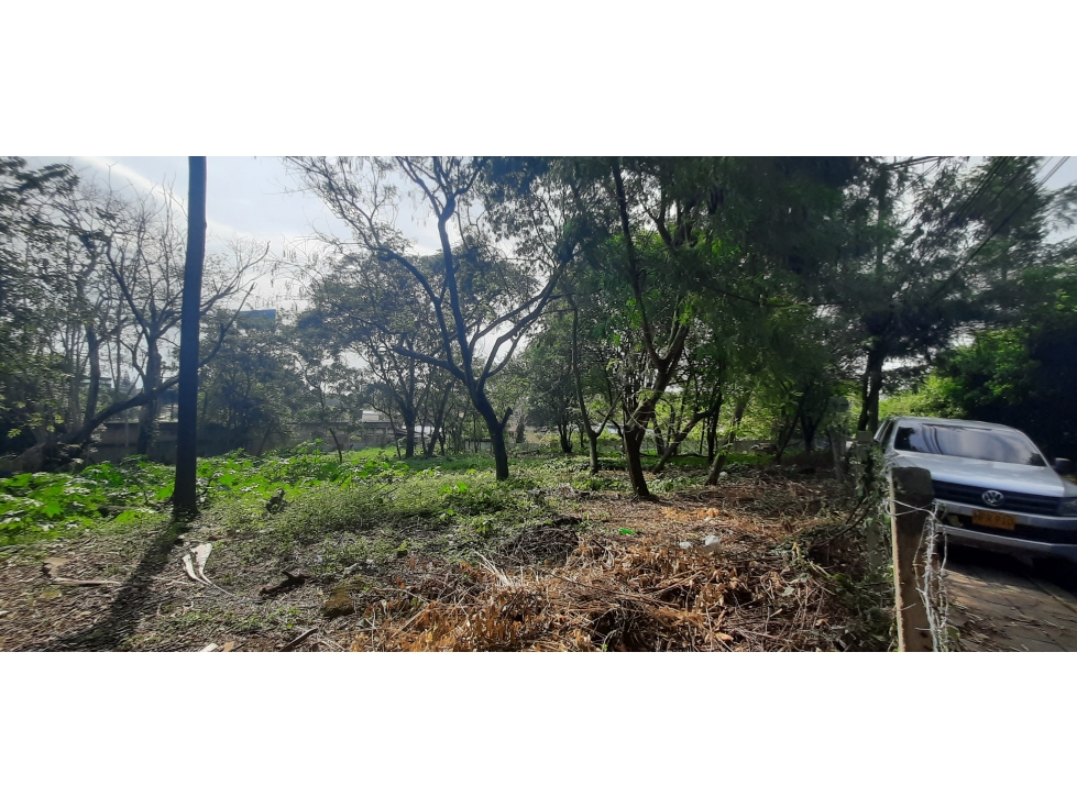 VENTA LOTE 3200 MT2 PANCE VALLE — foto 2
