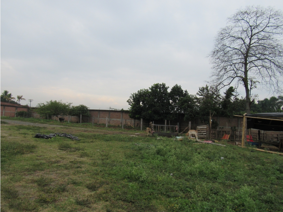 VENTA LOTE 30,000 MT2 LA NUBIA CANDELARIA VALLE - 2