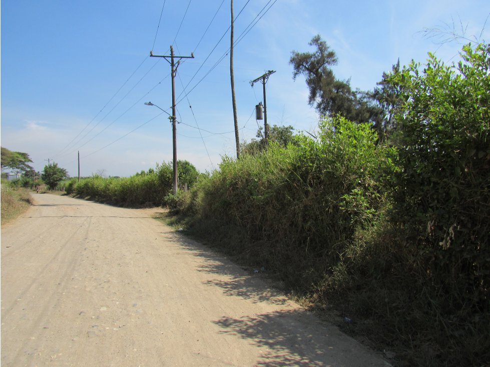 VENTA LOTE 20,000 MT2 LA NUBIA CANDELARIA VALLE - 3