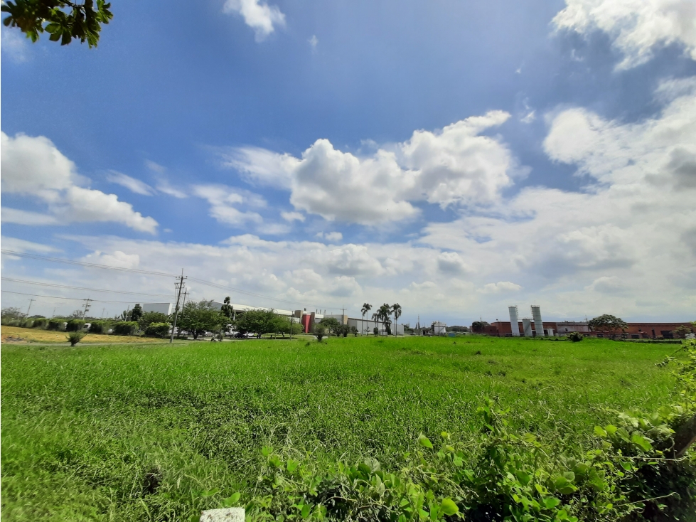 VENTA LOTE 22,905 MT2 ZONA FRANCA PARQUE SUR VILLA RICA CAUCA COLOMBIA - 2