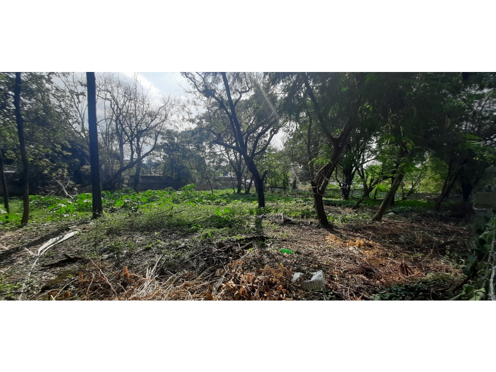 VENTA LOTE 3200 MT2 PANCE VALLE — foto 3