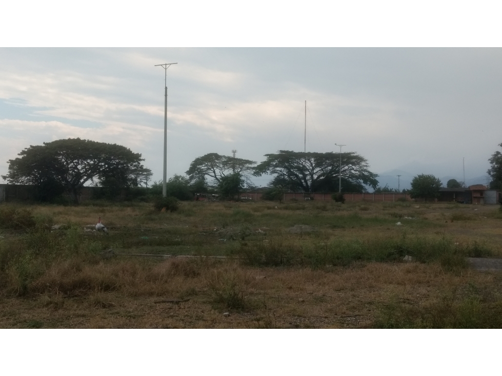 VENTA LOTE 30,000 MT2 LA NUBIA CANDELARIA VALLE - 3
