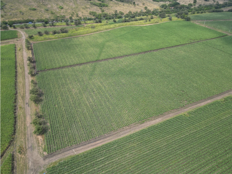 VENTA LOTE 119,037 MT2 EN ARROYOHONDO YUMBO VALLE - 3