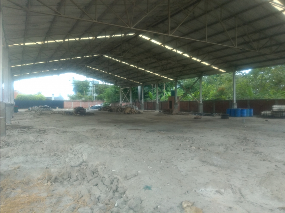 VENTA BODEGA 1583 MT2 LA NUBIA (JUANCHITO) CANDELARIA - 3