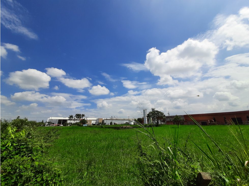 VENTA LOTE 22,905 MT2 ZONA FRANCA PARQUE SUR VILLA RICA CAUCA COLOMBIA - 3