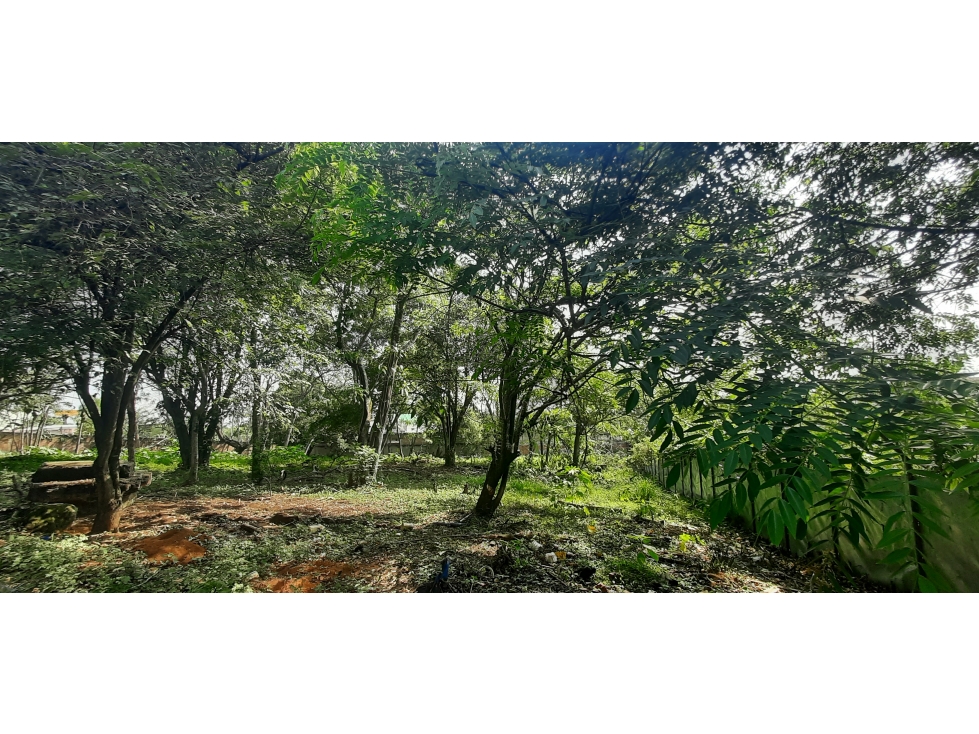 VENTA LOTE 3200 MT2 PANCE VALLE — foto 4