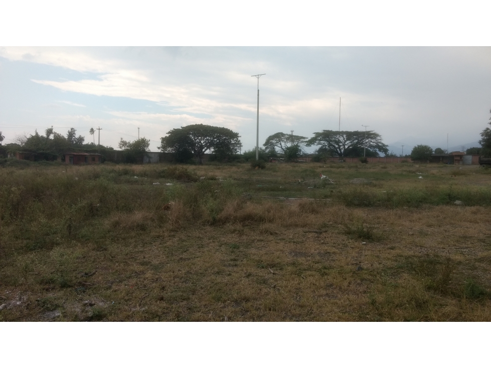 VENTA LOTE 30,000 MT2 LA NUBIA CANDELARIA VALLE - 4