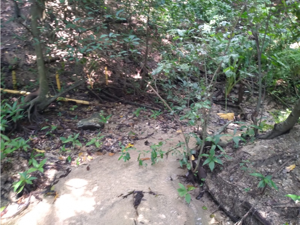 Finca en venta | Bonda, Santa Marta - 5
