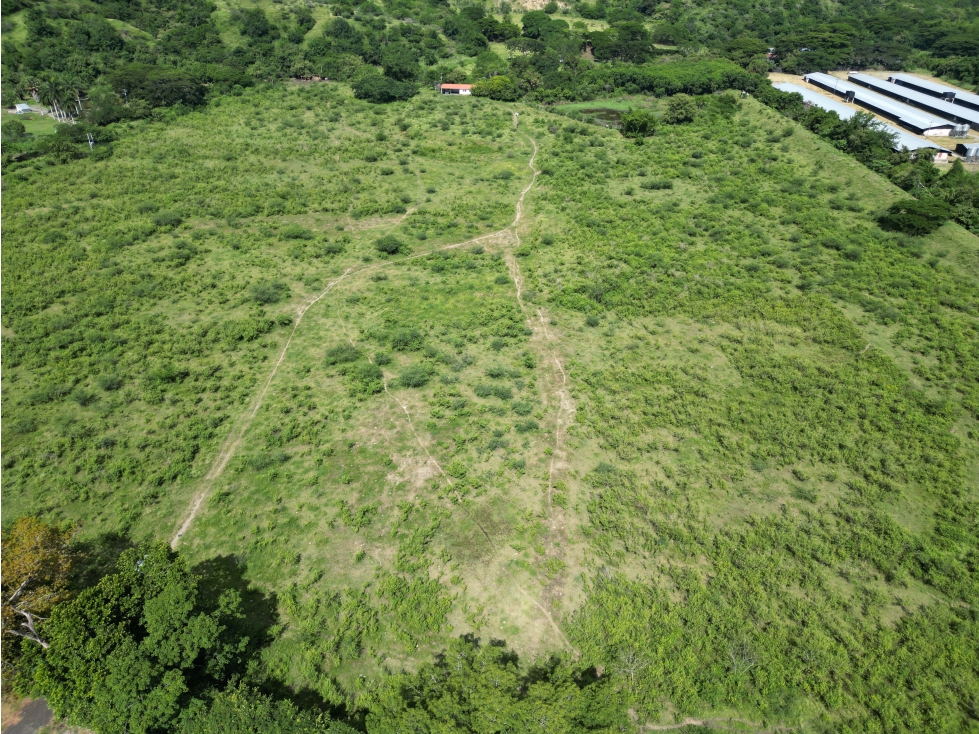 VENTA LOTE 123,960 MT2 EN BUGA VALLE - 4