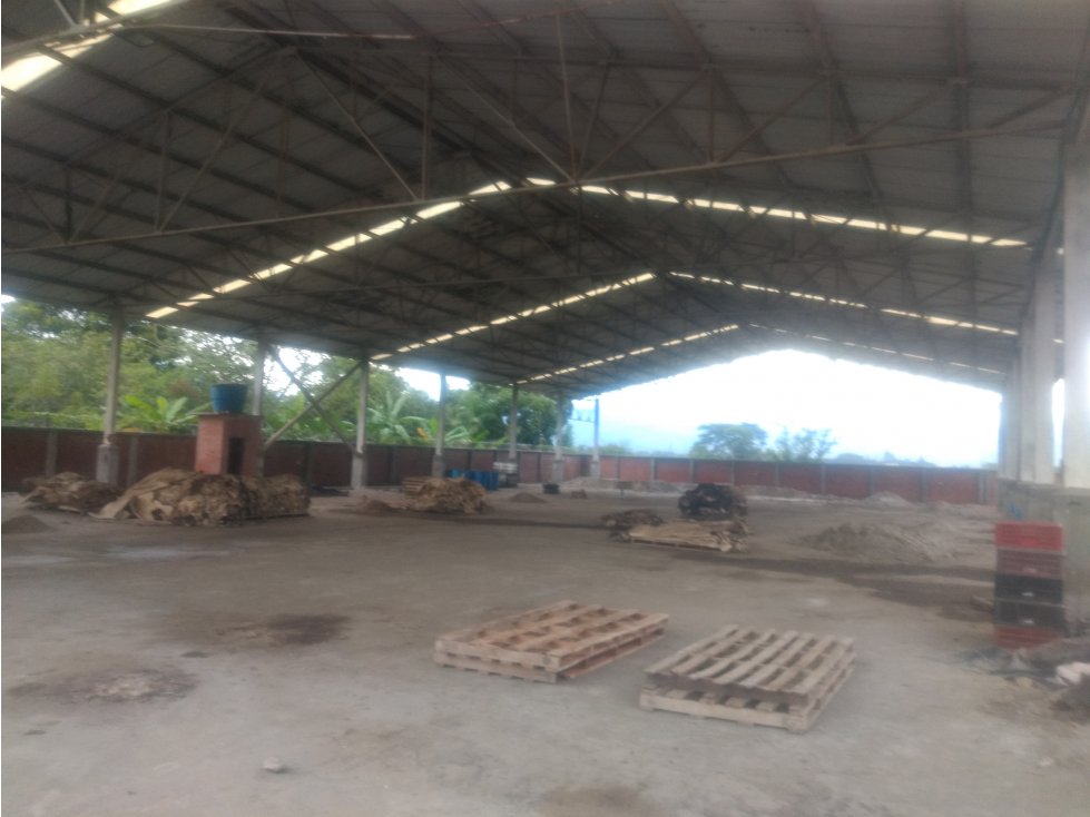 VENTA BODEGA 1583 MT2 LA NUBIA (JUANCHITO) CANDELARIA - 4