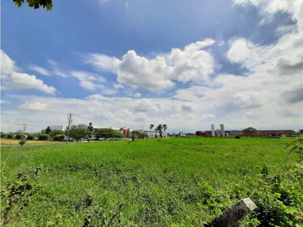 VENTA LOTE 22,905 MT2 ZONA FRANCA PARQUE SUR VILLA RICA CAUCA COLOMBIA - 4
