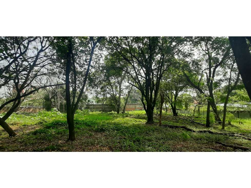 VENTA LOTE 3200 MT2 PANCE VALLE — foto 5