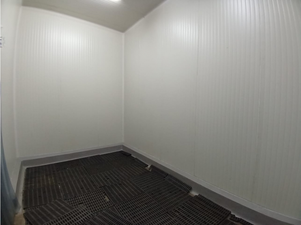 VENTA BODEGA 1225 MT2 LA NUBIA CANDELARIA VALLE - 5