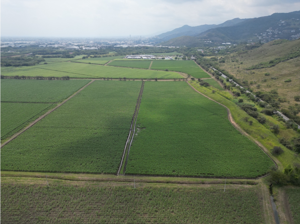 VENTA LOTE 119,037 MT2 EN ARROYOHONDO YUMBO VALLE - 5