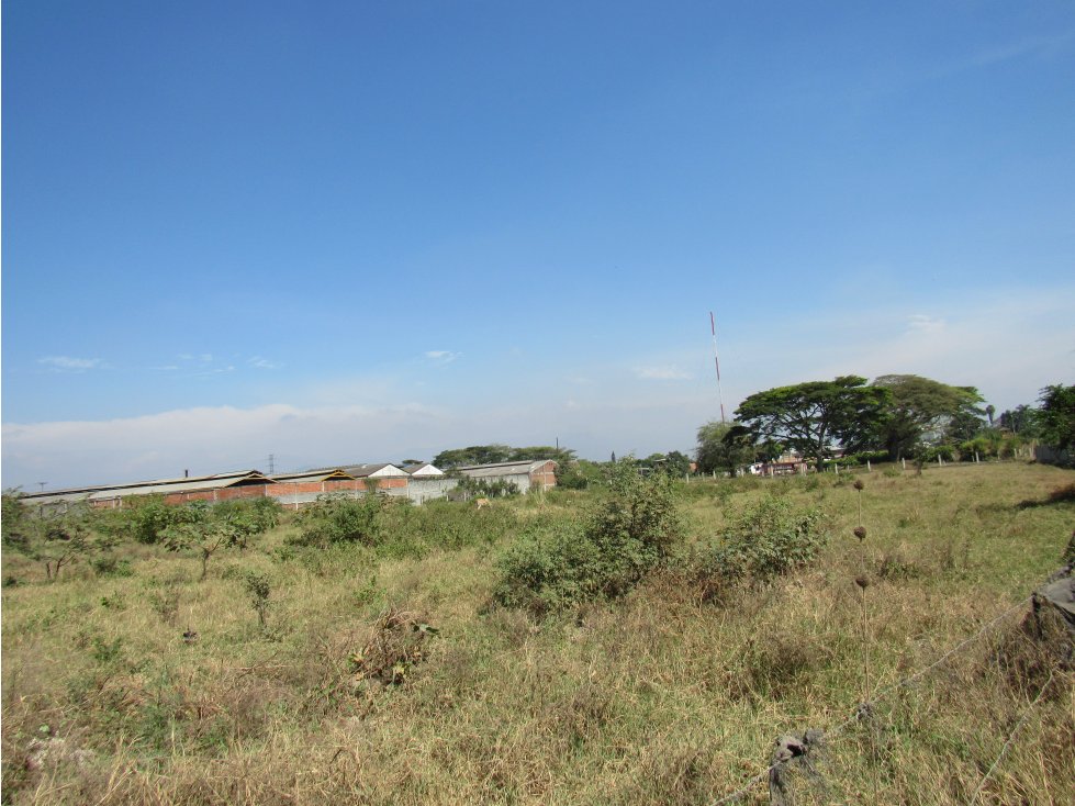 VENTA LOTE 20,000 MT2 LA NUBIA CANDELARIA VALLE - 6