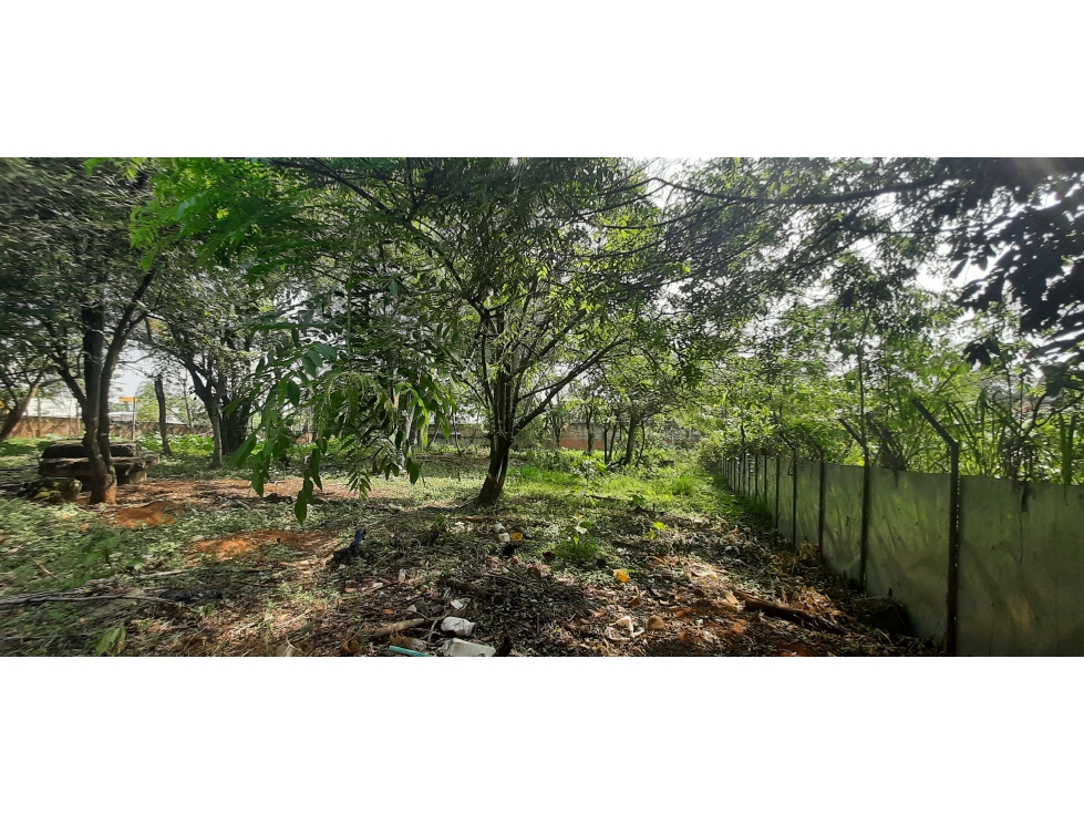 VENTA LOTE 3200 MT2 PANCE VALLE — foto 6