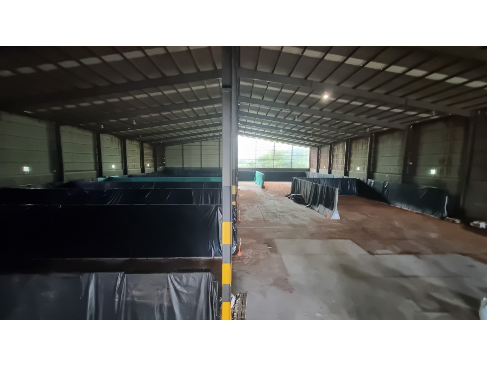 ALQUILER BODEGA 5300 MT2 EN BUENAVENTURA VALLE DEL CAUCA - 3
