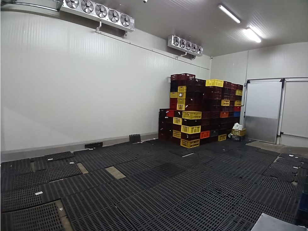 VENTA BODEGA 1225 MT2 LA NUBIA CANDELARIA VALLE - 6