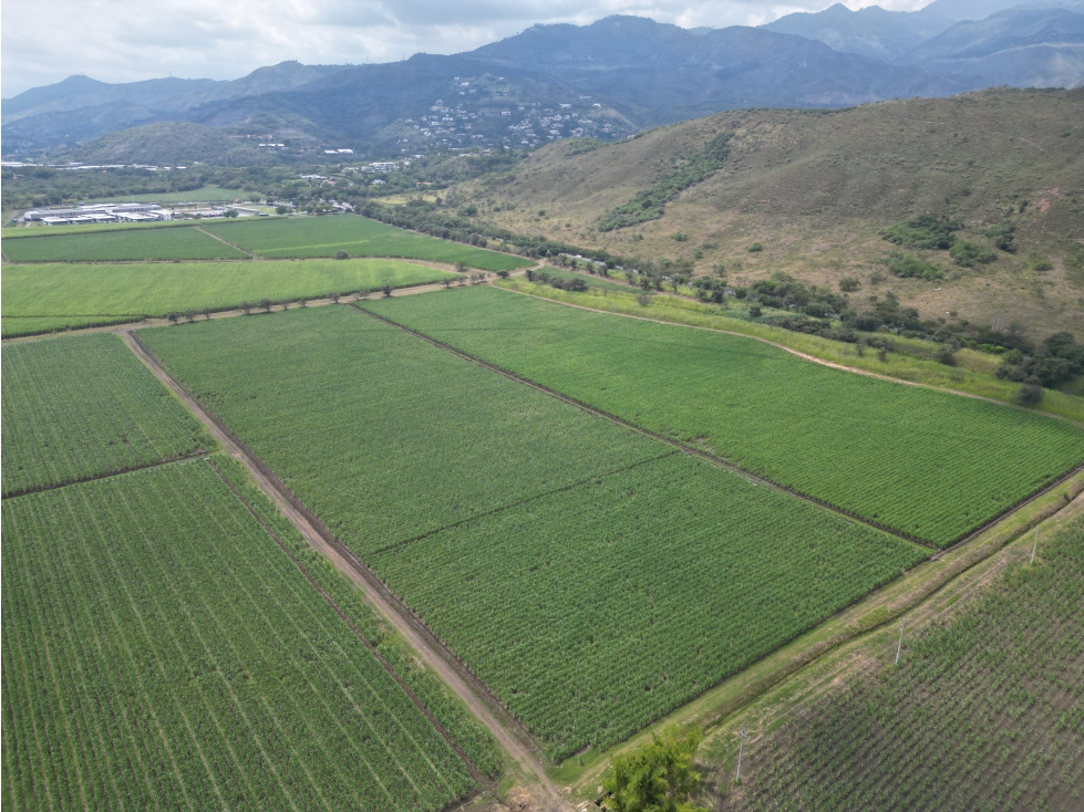 VENTA LOTE 119,037 MT2 EN ARROYOHONDO YUMBO VALLE - 6