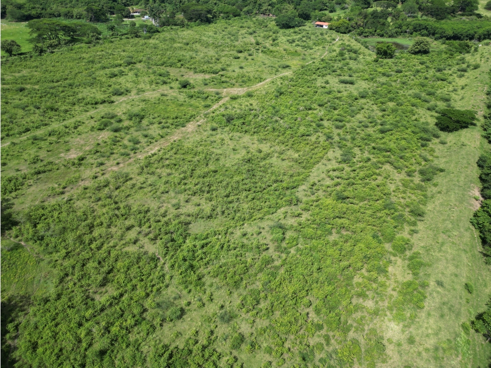 VENTA LOTE 123,960 MT2 EN BUGA VALLE - 6