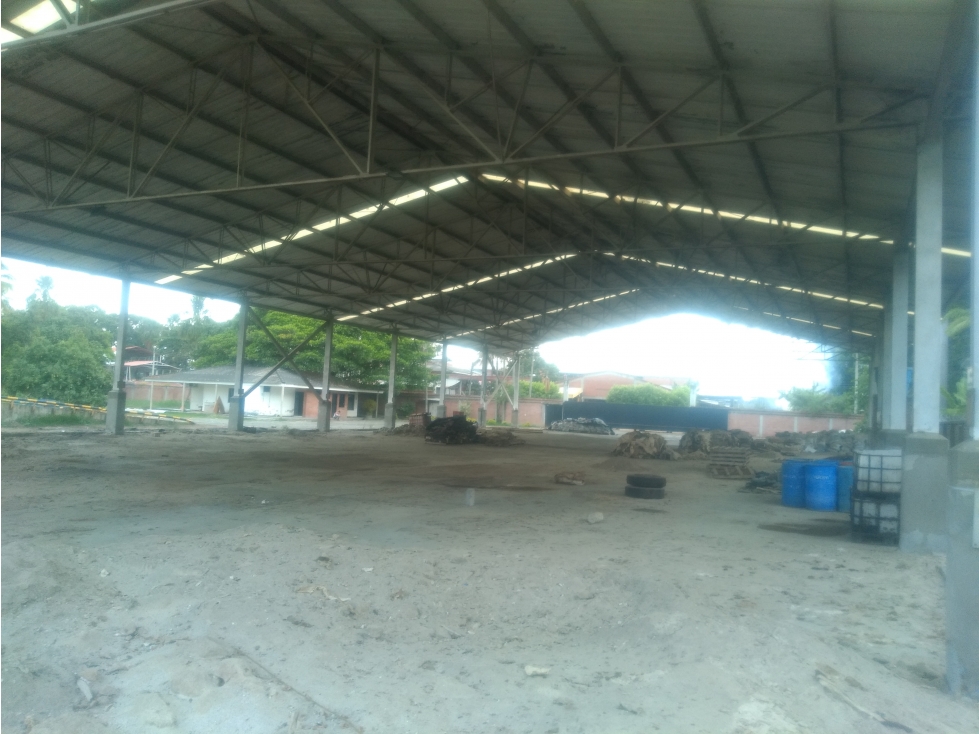 VENTA BODEGA 1583 MT2 LA NUBIA (JUANCHITO) CANDELARIA - 6