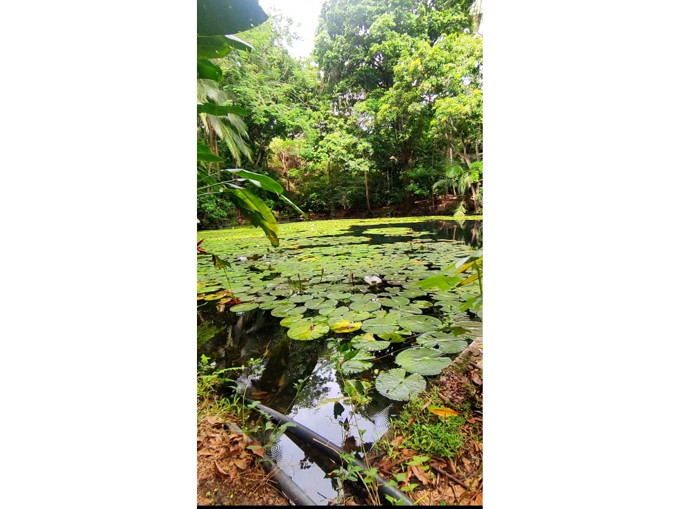 Finca en venta | Bonda, Santa Marta - 1