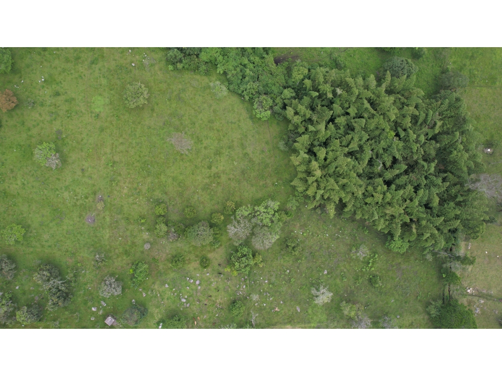 Gran terreno para desarrollo Inmobiliario, lotes campestres, La Vega - 3