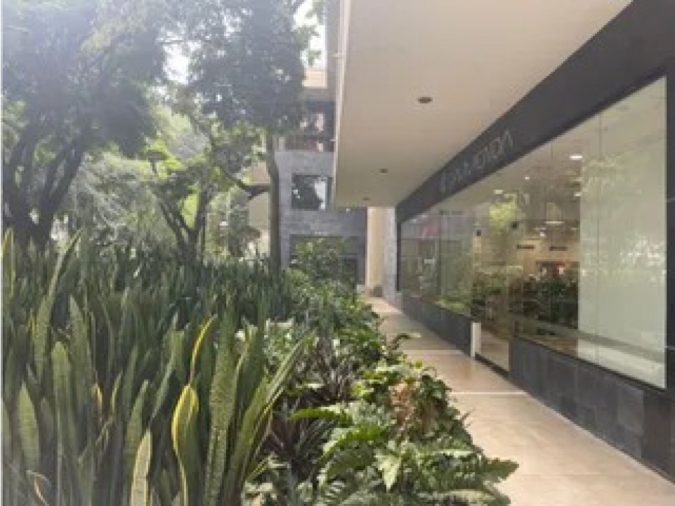 OFICINAS DESDE 36 m2 - ALQUILER C.E - CARVAJAL SANTA MONICA - CALI — foto 5
