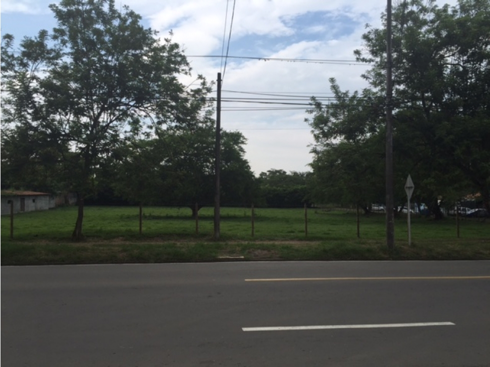 VENDE LOTE PANCE CALI
