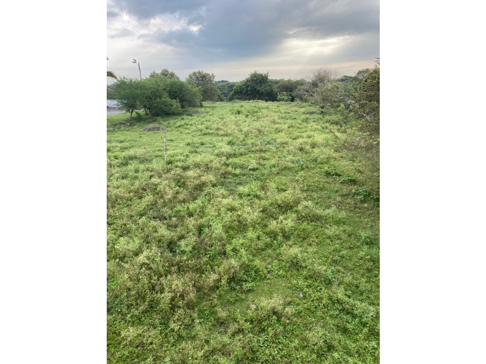 LOTE 8606 m2 PARA INVERSION VIA CALI - JAMUNDI — foto 6