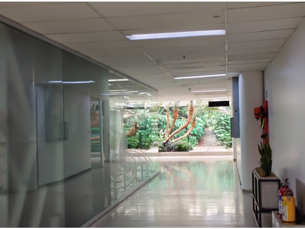 OFICINAS DESDE 36 m2 - ALQUILER C.E - CARVAJAL SANTA MONICA - CALI — foto 2