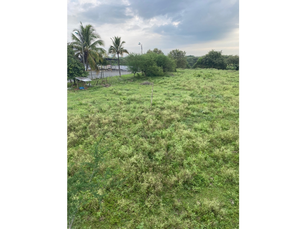 LOTE 8606 m2 PARA INVERSION VIA CALI - JAMUNDI — foto 5