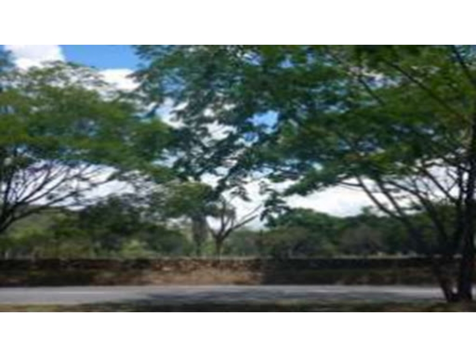 VENDE LOTE NILO CUNDINAMARCA - 3
