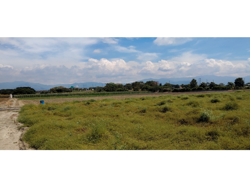 LOTE EN ROZO DE 85.000 M2 EN VENTA — foto 3