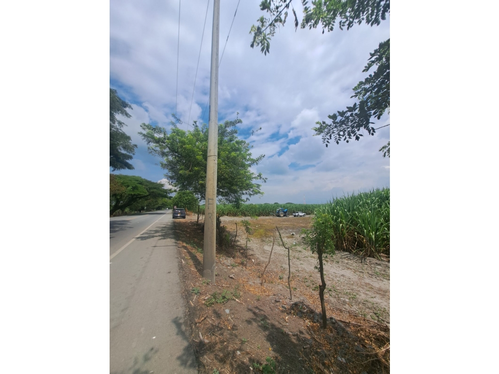 VENDE LOTE EN ROZO DE 32 HECTAREAS — foto 2