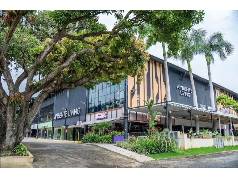 LOCALES 299 m2 EN ALQUILER EN CIUDAD JARDIN CALI