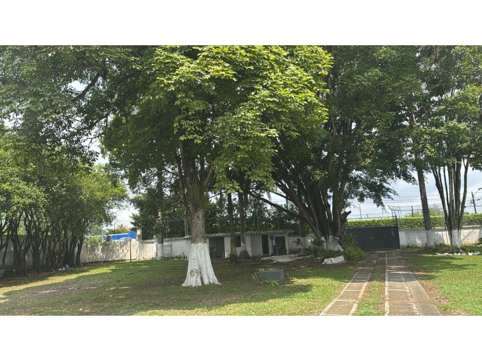 LOTE CAMPESTRE REMODELADO 3.000 m² CASCAJAL - 4