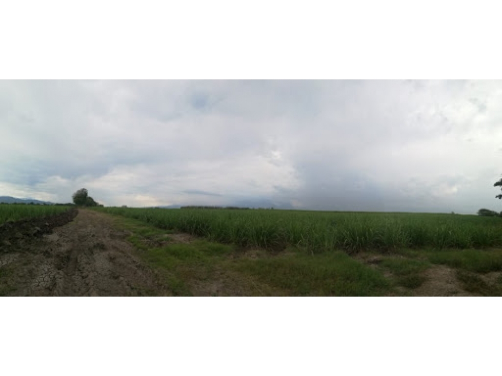 LOTE EN VENTA SOBRE LA VIA AEROPUERTO — foto 5