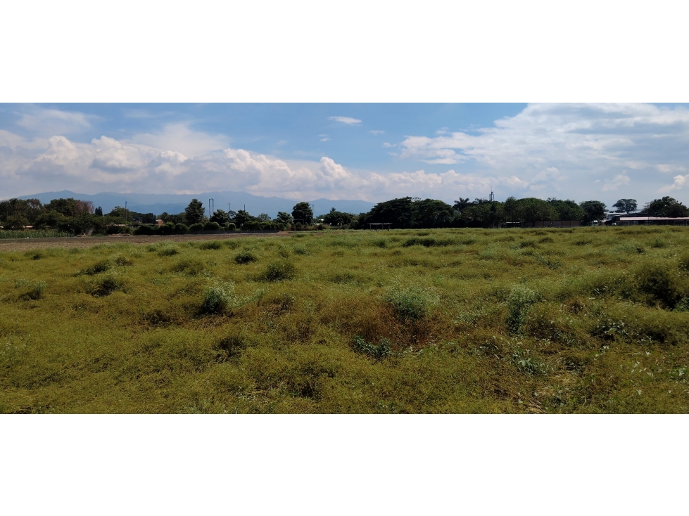 LOTE EN ROZO DE 85.000 M2 EN VENTA — foto 4
