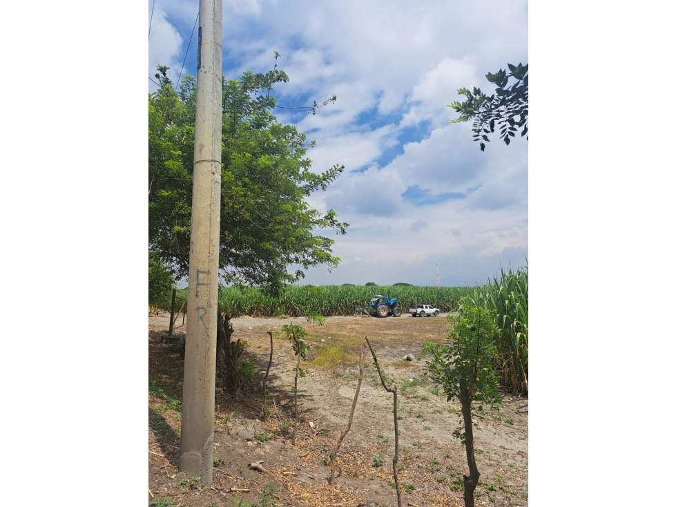 VENDE LOTE EN ROZO DE 32 HECTAREAS — foto 3