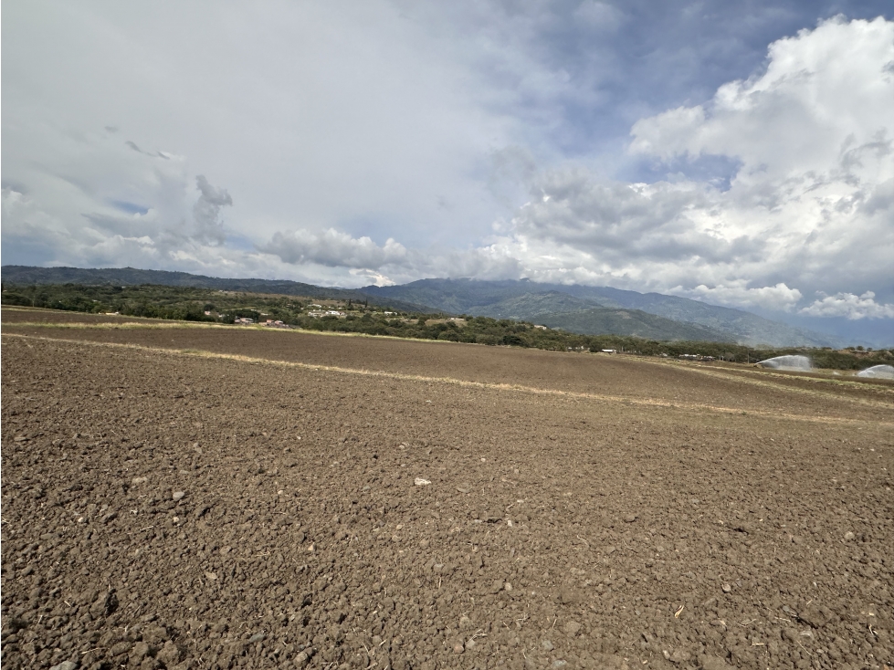 LOTE PARA DESARROLLO INDUSTRIAL BUGA - 3