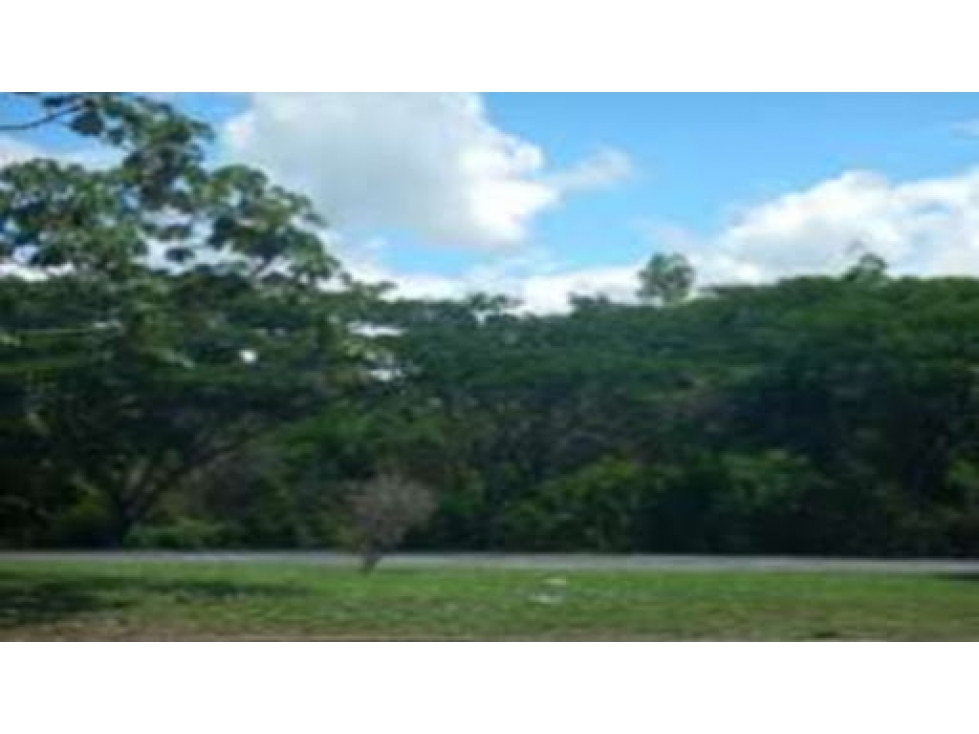 VENDE LOTE NILO CUNDINAMARCA - 5