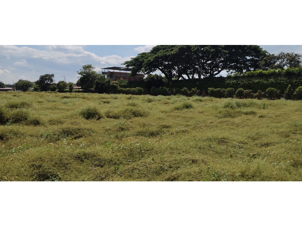 LOTE EN ROZO DE 85.000 M2 EN VENTA